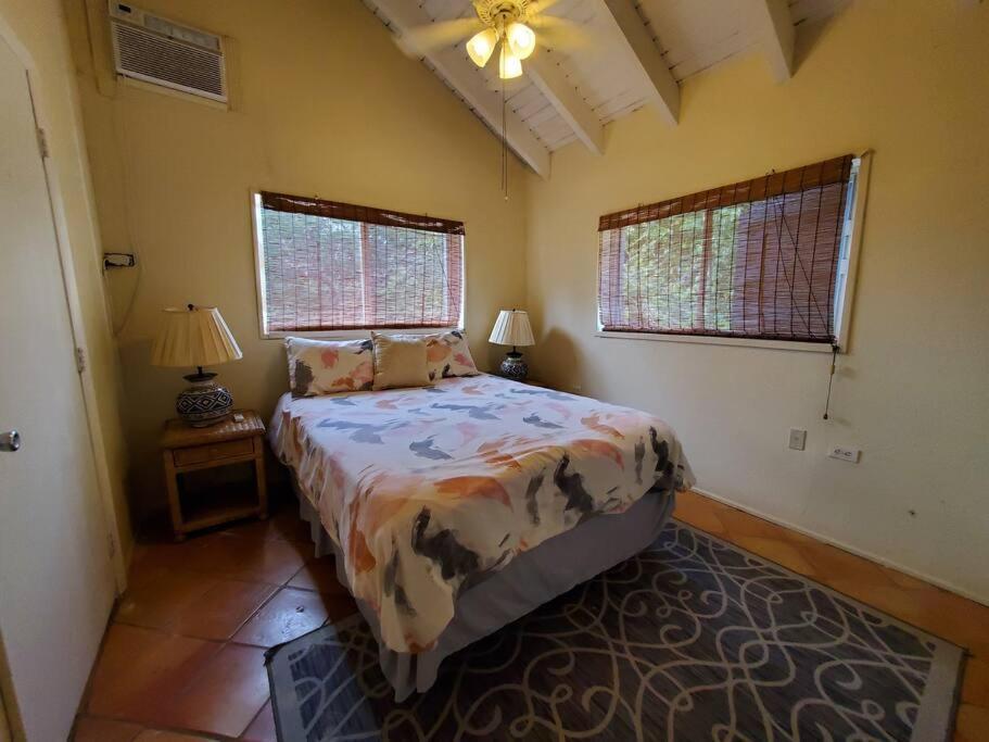 The Cottage At Villa Indigo Charlotte Amalie Dış mekan fotoğraf