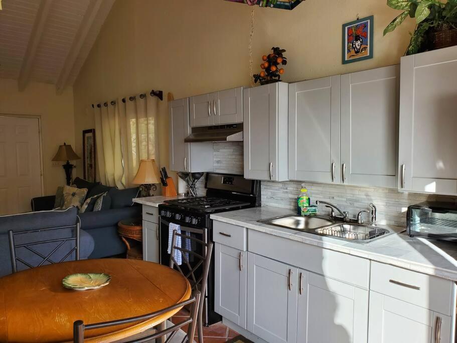 The Cottage At Villa Indigo Charlotte Amalie Dış mekan fotoğraf